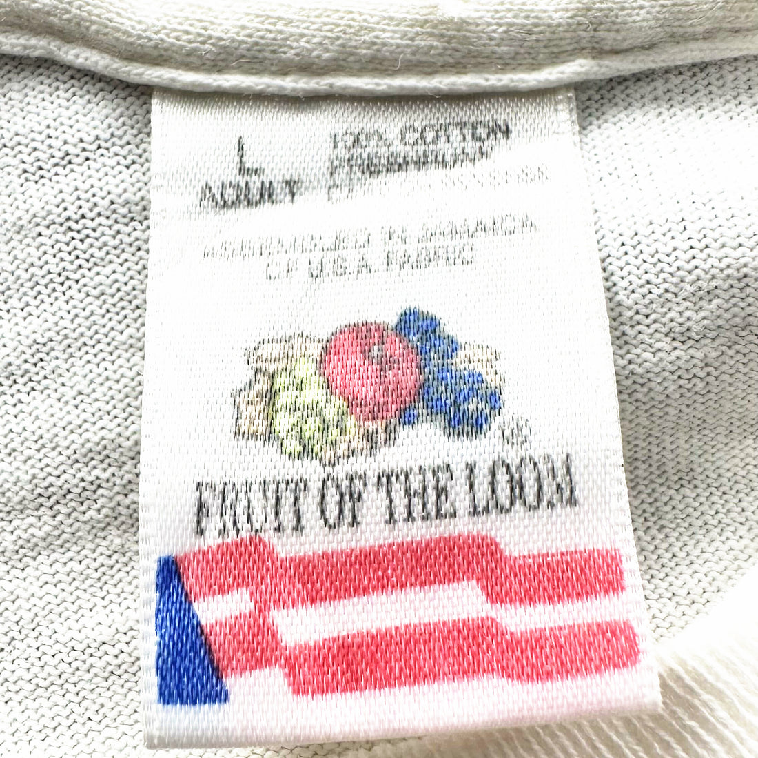 1995 FRIENDS TV SHOW CAST PHOTO L FRUIT OF THE LOOM ネックタグ L