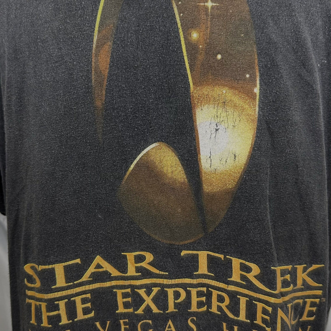 1998 STAR TREK THE EXPERIENCE LAS VEGAS HILTON L 胸元プリント アップ