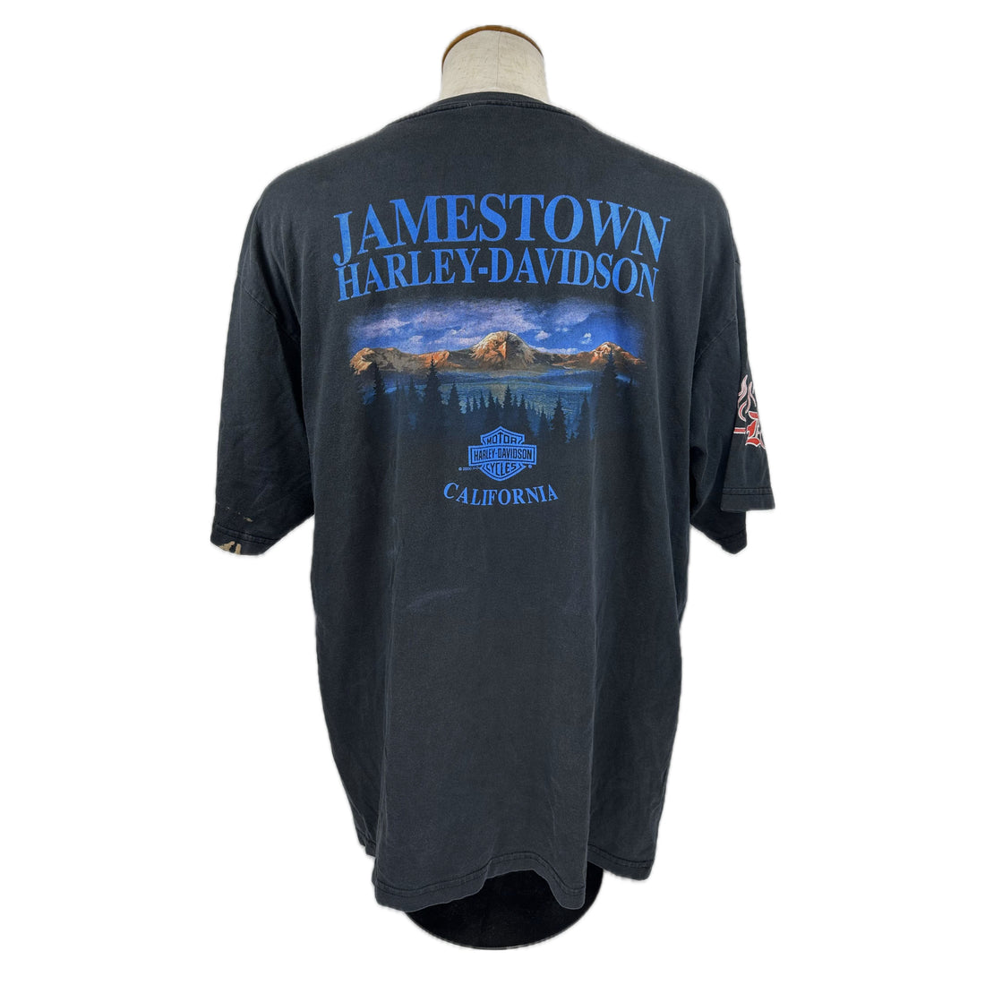 2000 JAMESTOWN HARLEY-DAVIDSON CALIFORNIA MOUNTAIN LAKE XL 背面 山と湖の風景