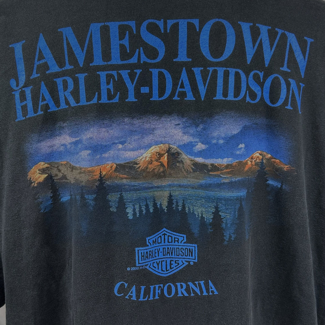2000 JAMESTOWN HARLEY-DAVIDSON CALIFORNIA MOUNTAIN LAKE XL 背面プリント アップ