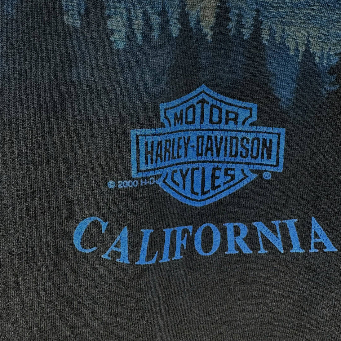 2000 JAMESTOWN HARLEY-DAVIDSON CALIFORNIA MOUNTAIN LAKE XL 背面 CALIFORNIA とコピーライト