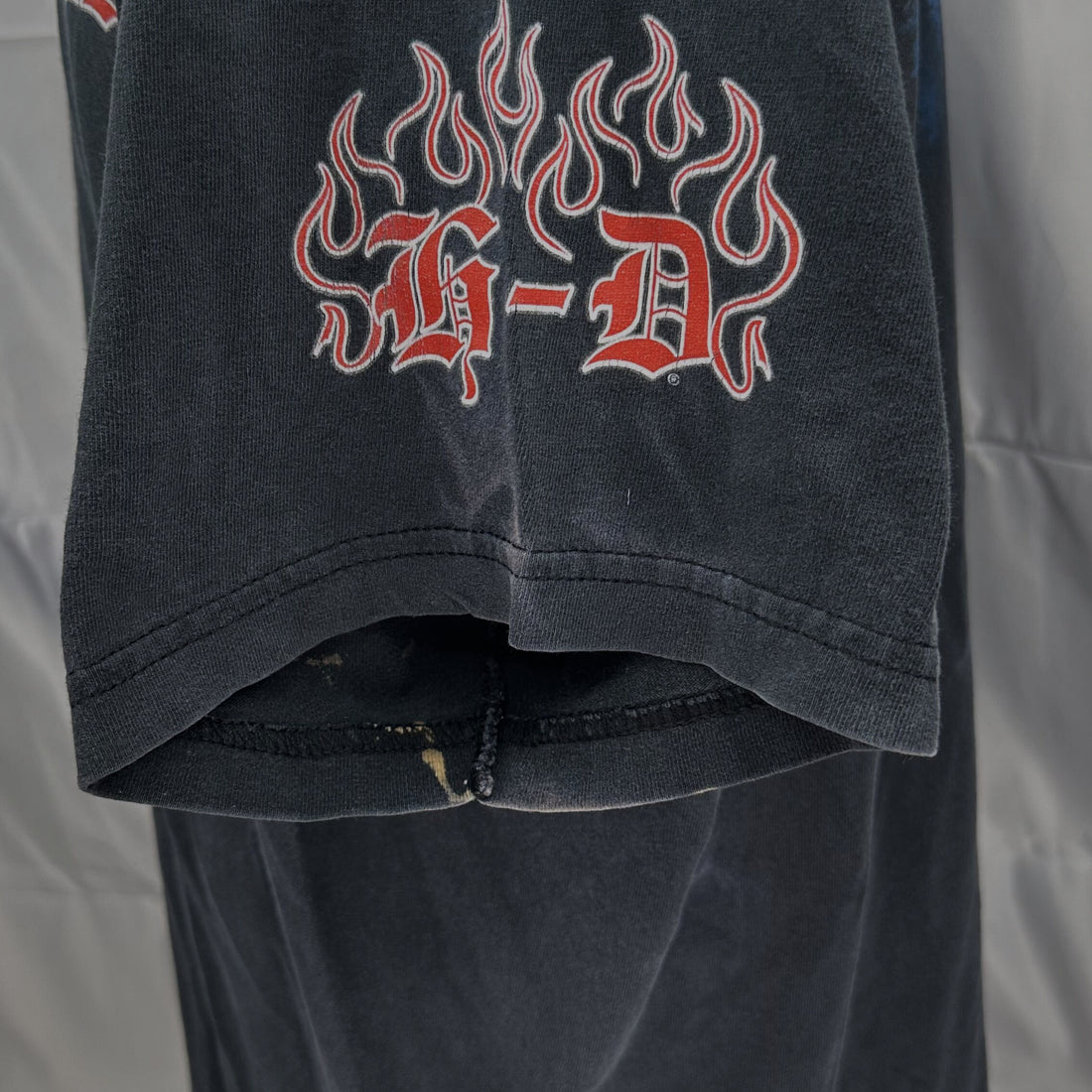 2000 JAMESTOWN HARLEY-DAVIDSON CALIFORNIA MOUNTAIN LAKE XL 袖の H-D プリント（袖口の色抜け）