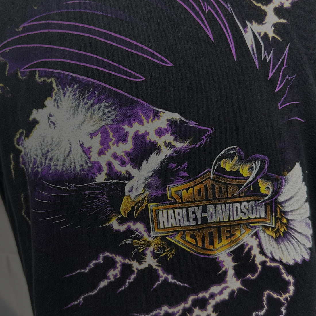 2001 HARLEY-DAVIDSON INDIANA DEALERS LIGHTNING EAGLE L 正面プリント アップ