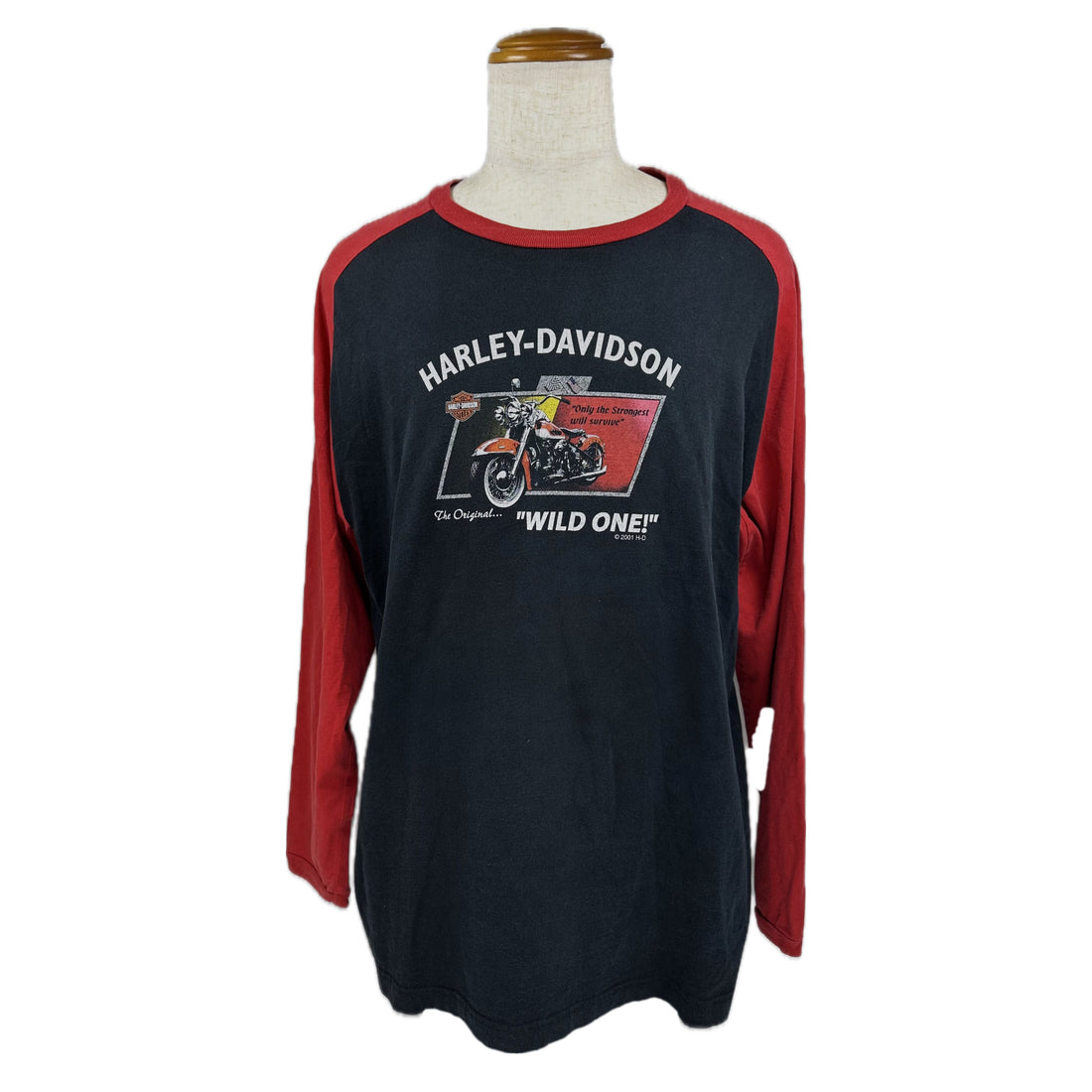 2001 HARLEY-DAVIDSON WILD ONE NEW CASTLE PENNSYLVANIA RAGLAN LS L 正面 WILD ONE バイクプリント