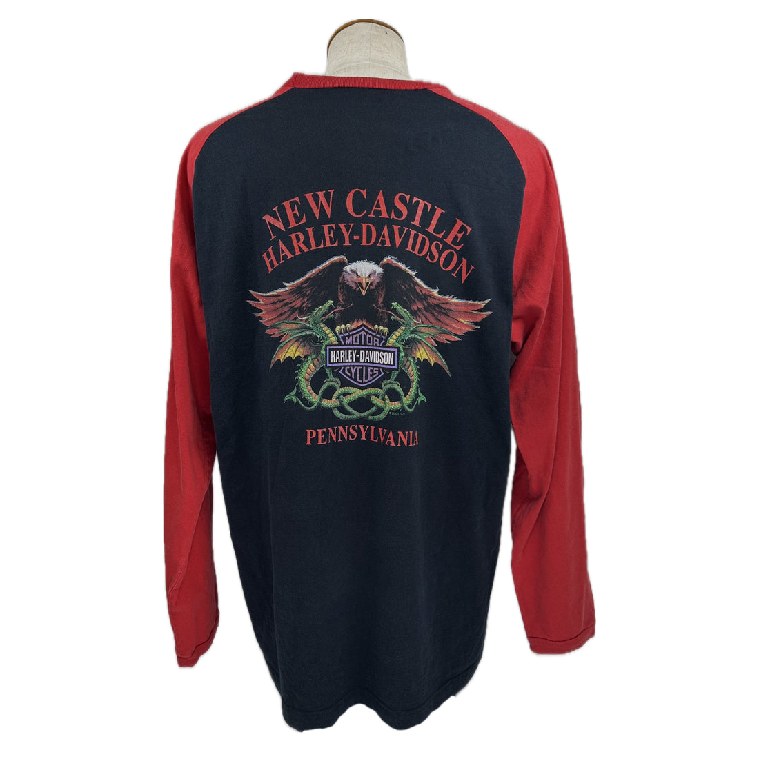 2001 HARLEY-DAVIDSON WILD ONE NEW CASTLE PENNSYLVANIA RAGLAN LS L 背面 NEW CASTLE イーグルプリント