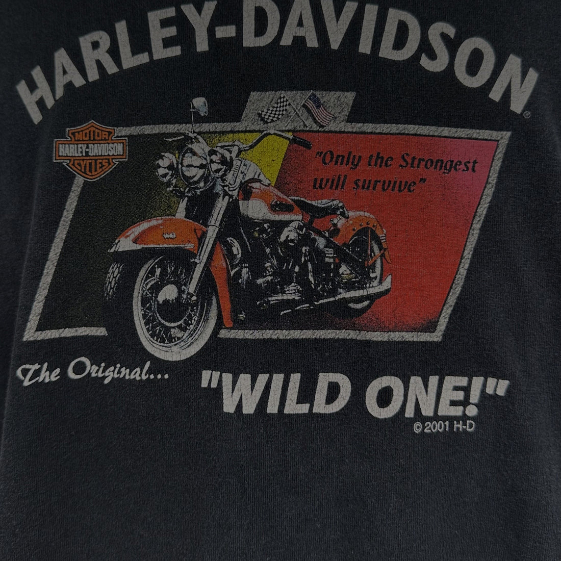 2001 HARLEY-DAVIDSON WILD ONE NEW CASTLE PENNSYLVANIA RAGLAN LS L 正面プリント アップ