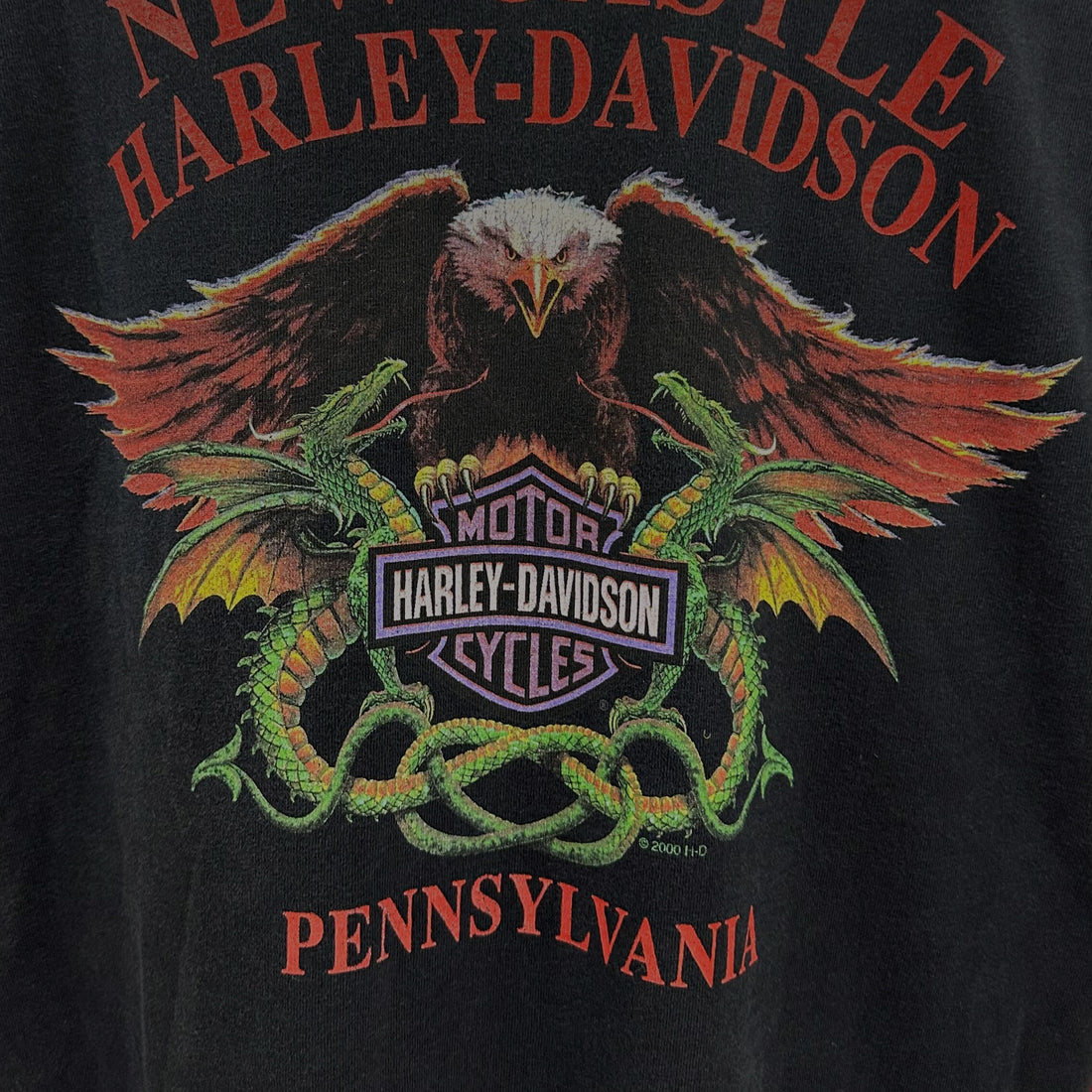 2001 HARLEY-DAVIDSON WILD ONE NEW CASTLE PENNSYLVANIA RAGLAN LS L 背面プリント アップ