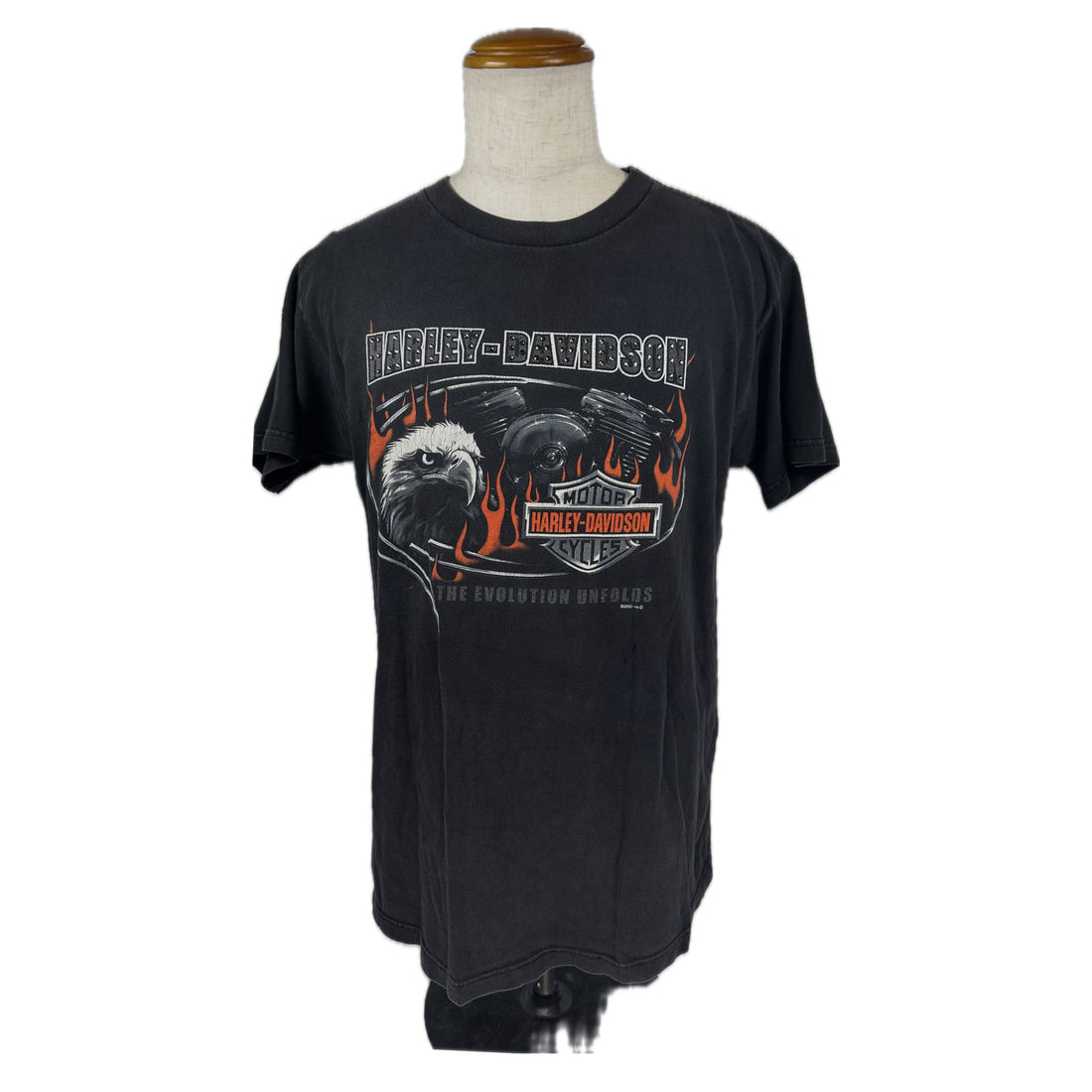 2001 SCHOCH HARLEY-DAVIDSON POCONO MOUNTAINS STROUDSBURG PA L 正面 THE EVOLUTION UNFOLDS プリント
