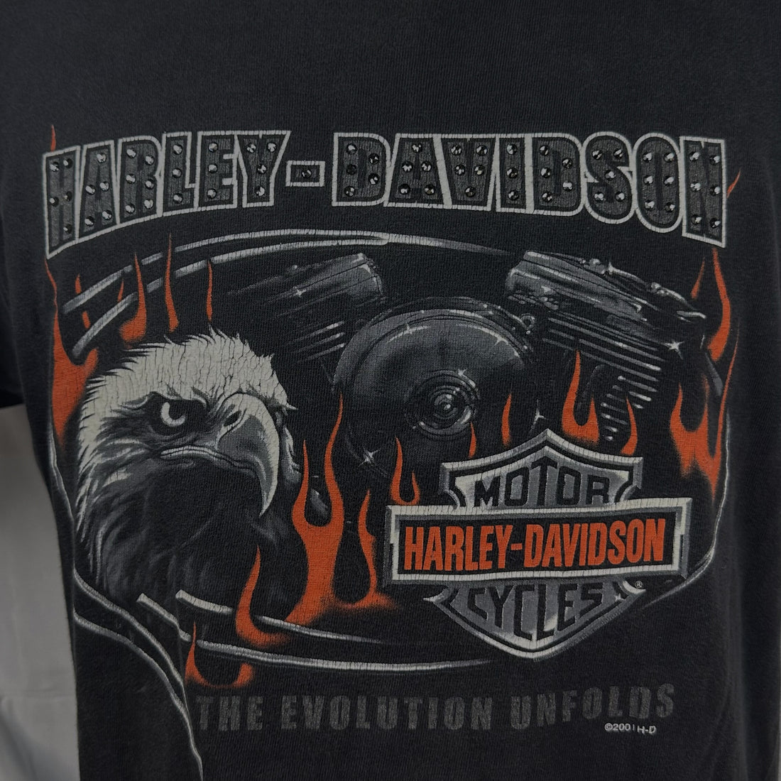 2001 SCHOCH HARLEY-DAVIDSON POCONO MOUNTAINS STROUDSBURG PA L 正面プリント アップ