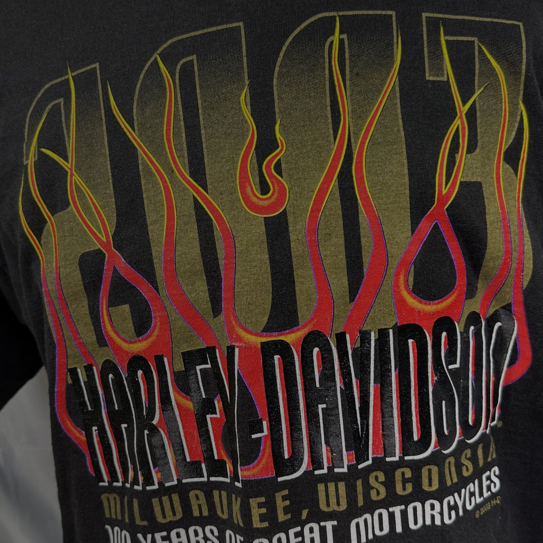 2003 HARLEY-DAVIDSON 100 YEARS MILWAUKEE FLAME L 正面プリント アップ
