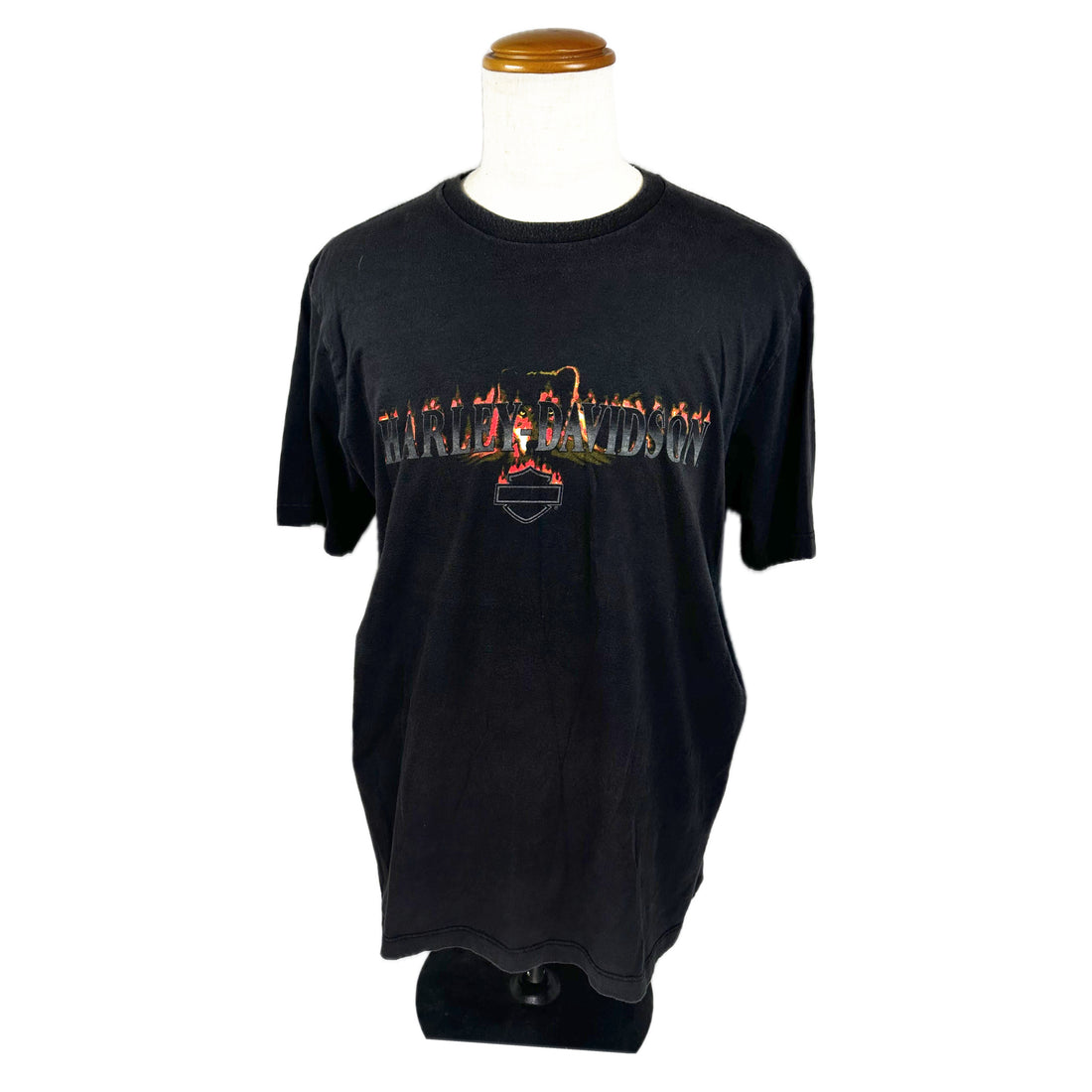 2003 HARLEY-DAVIDSON RIO DE JANEIRO BRASIL L 正面 炎の HARLEY-DAVIDSON