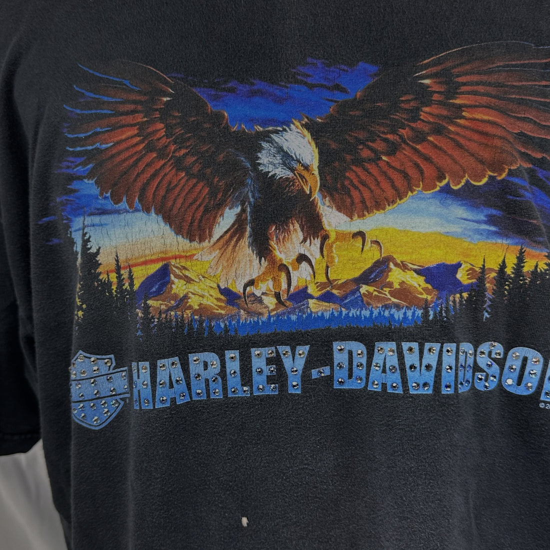 2004 MANCUSO HARLEY-DAVIDSON HOUSTON TEXAS EAGLE XL 正面プリント アップ
