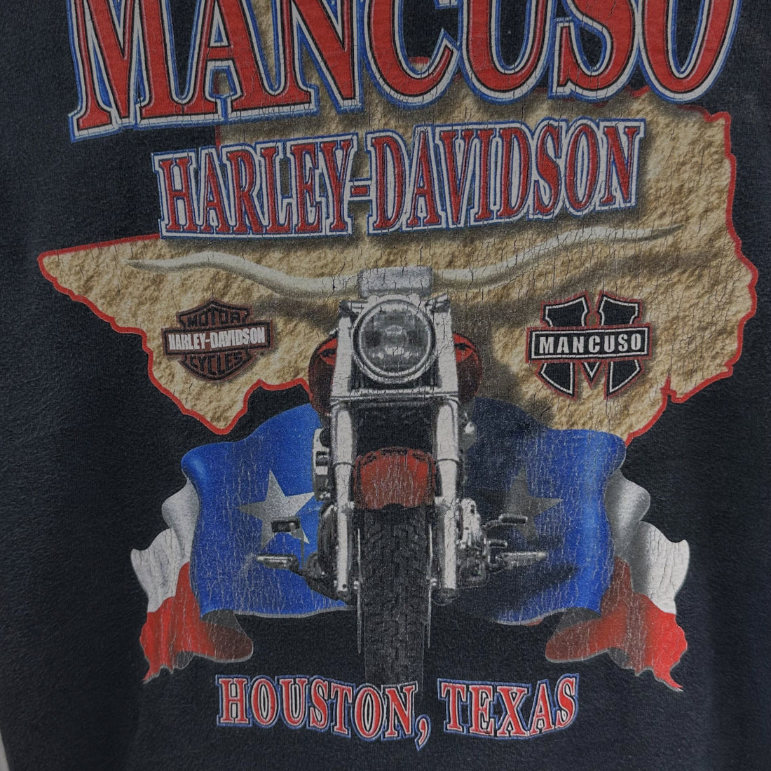 2004 MANCUSO HARLEY-DAVIDSON HOUSTON TEXAS EAGLE XL 背面プリント アップ