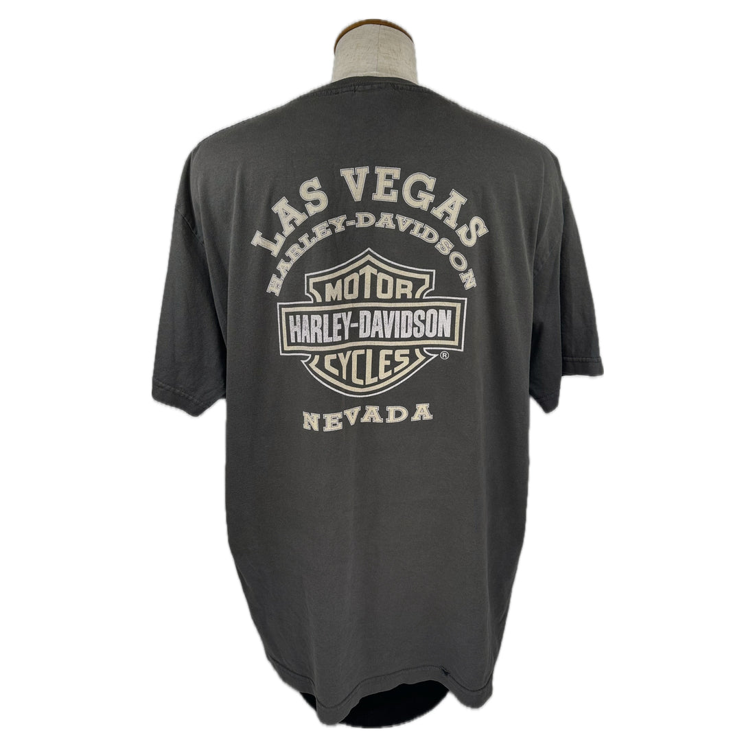 2005 LAS VEGAS HARLEY-DAVIDSON SPEED EQUIPMENT XL 背面 LAS VEGAS バー＆シールド