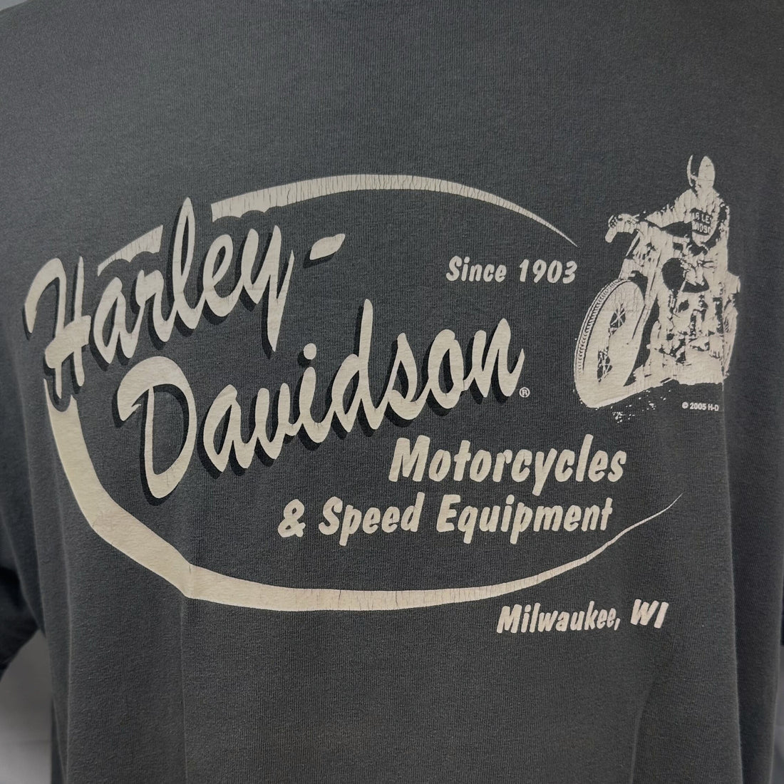 2005 LAS VEGAS HARLEY-DAVIDSON SPEED EQUIPMENT XL 正面プリント アップ