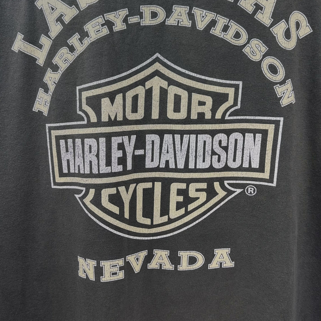 2005 LAS VEGAS HARLEY-DAVIDSON SPEED EQUIPMENT XL 背面プリント アップ