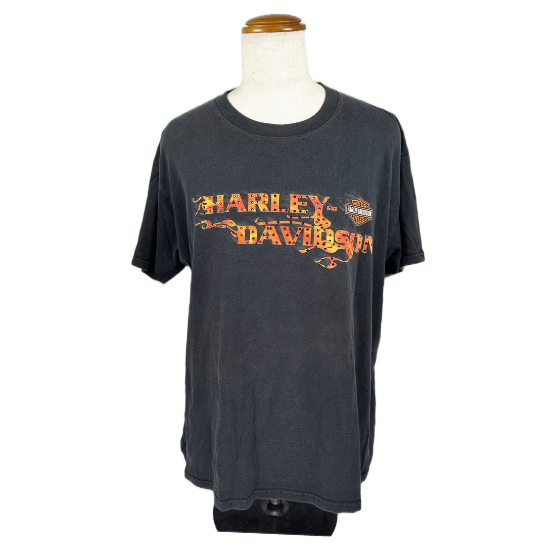 2007 ORLANDO HARLEY-DAVIDSON FLORIDA SUNSET PALM XL 正面 フレイム文字