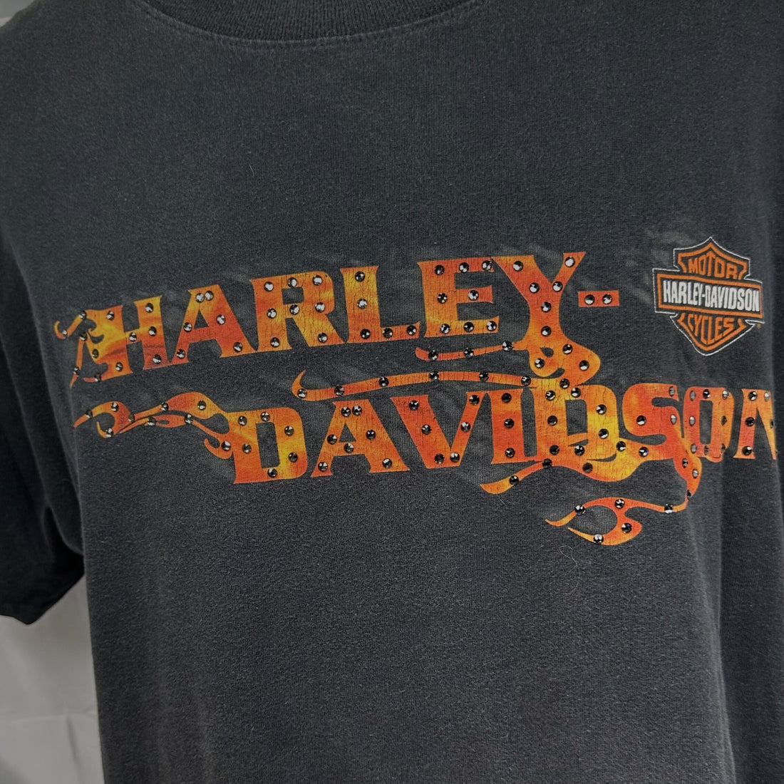 2007 ORLANDO HARLEY-DAVIDSON FLORIDA SUNSET PALM XL 正面プリント アップ