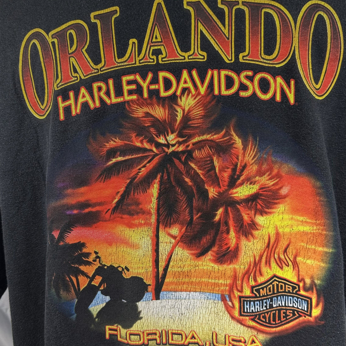 2007 ORLANDO HARLEY-DAVIDSON FLORIDA SUNSET PALM XL 背面プリント アップ
