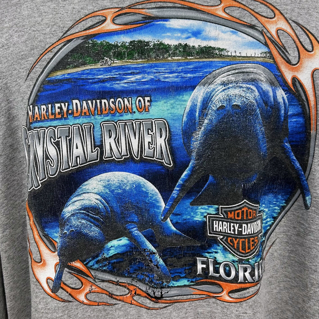 2010 CRYSTAL RIVER HARLEY-DAVIDSON FLORIDA MANATEE LS 2XL 背面プリント アップ