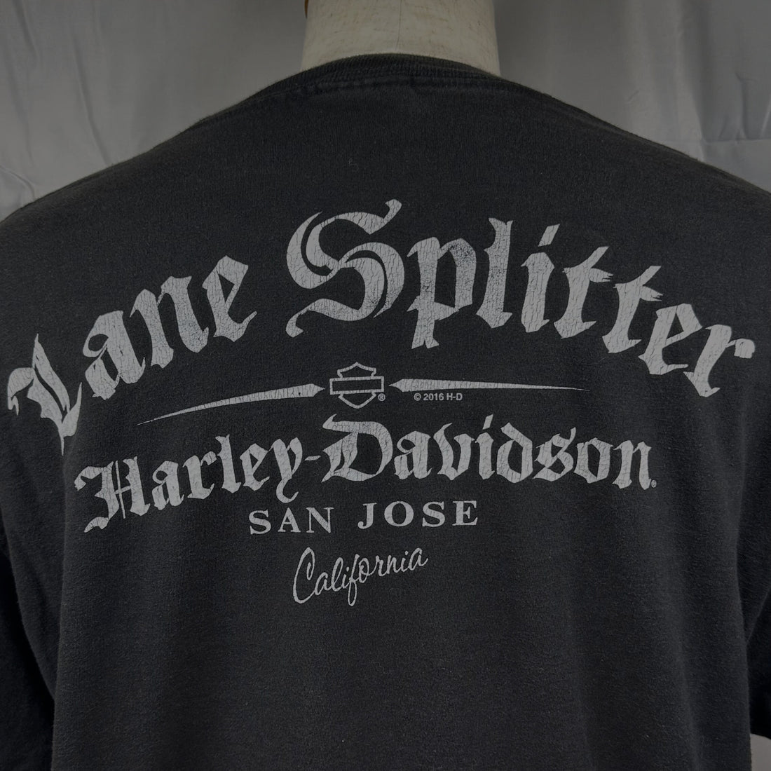 2010 LANE SPLITTER HARLEY-DAVIDSON SAN JOSE CALIFORNIA XL 背面プリント アップ