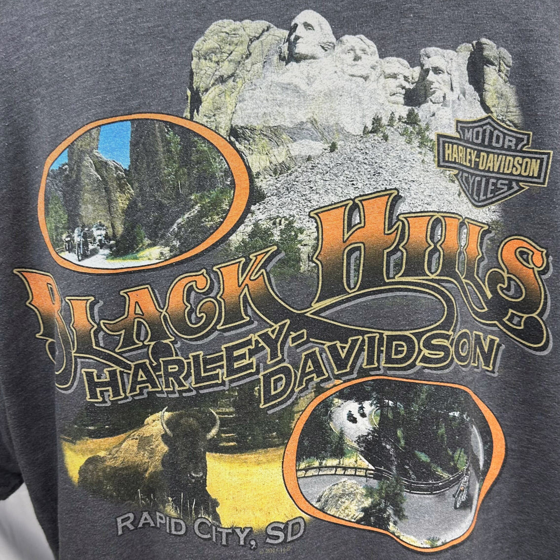 2011 BLACK HILLS HARLEY-DAVIDSON MOUNT RUSHMORE XL 背面プリント アップ