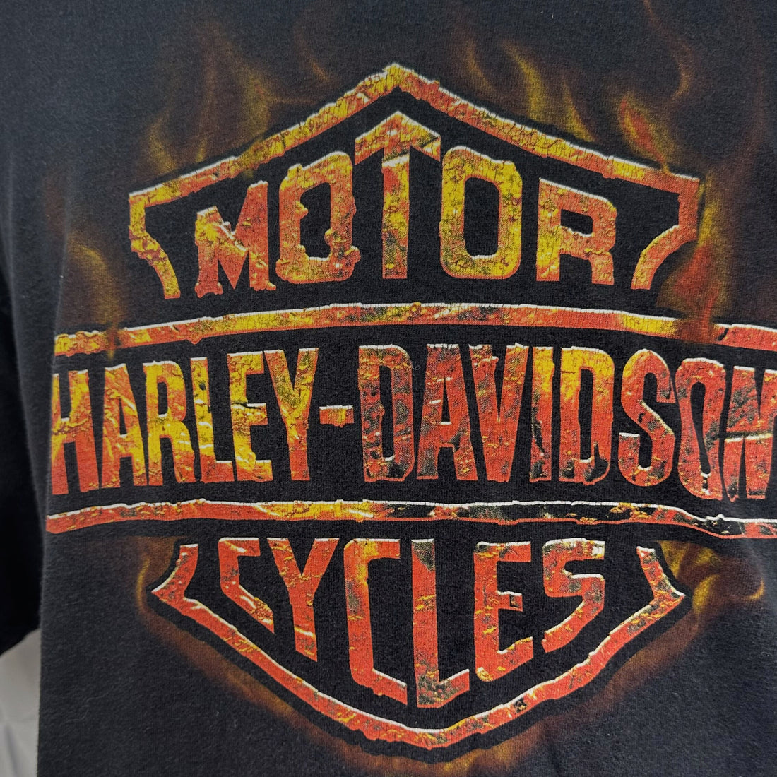 2012 GRAND CANYON HARLEY-DAVIDSON SEDONA ARIZONA FLAME LOGO XL 正面ロゴ アップ