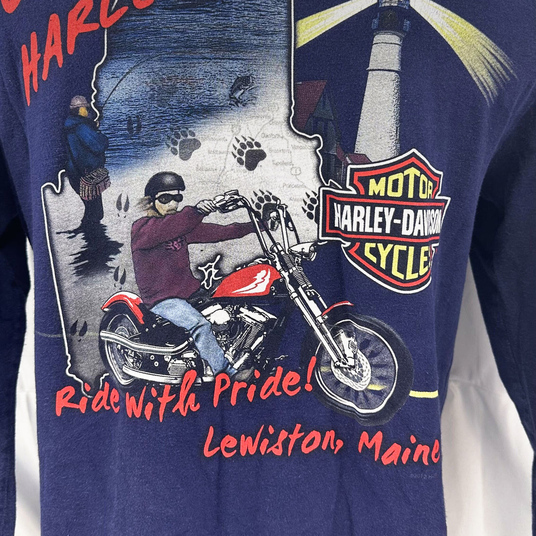 2012 L-A HARLEY-DAVIDSON LEWISTON MAINE POCKET LS M 背面プリント アップ