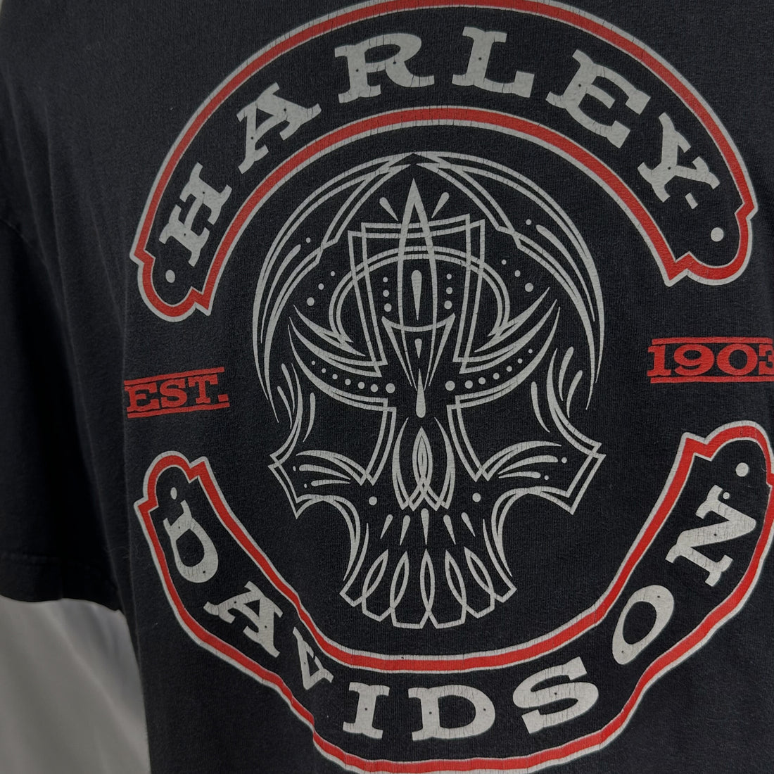 2013 CHANDLER HARLEY-DAVIDSON ARIZONA PINSTRIPE SKULL XL 正面プリント アップ