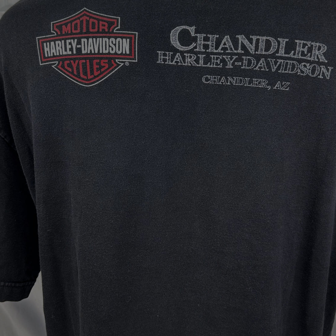 2013 CHANDLER HARLEY-DAVIDSON ARIZONA PINSTRIPE SKULL XL 背面ロゴ アップ
