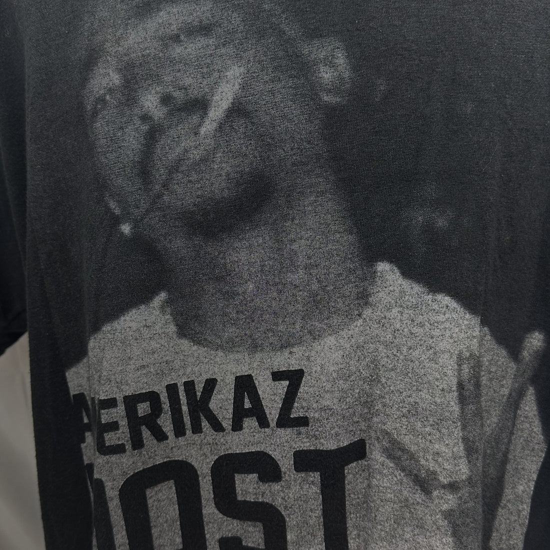 2014 TUPAC AMERIKAZ MOST WANTED PHOTO XL プリント アップ