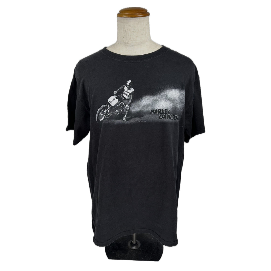 2019 HARLEY-DAVIDSON OF OCEAN COUNTY LAKEWOOD NJ FLAT TRACK L 正面 フラットトラック フォトプリント