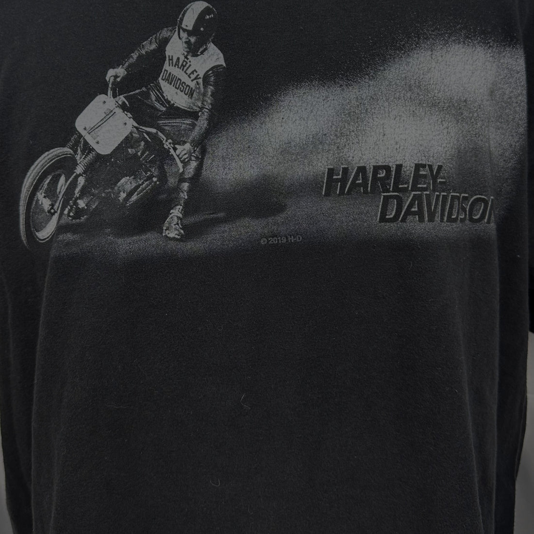 2019 HARLEY-DAVIDSON OF OCEAN COUNTY LAKEWOOD NJ FLAT TRACK L 正面プリント アップ