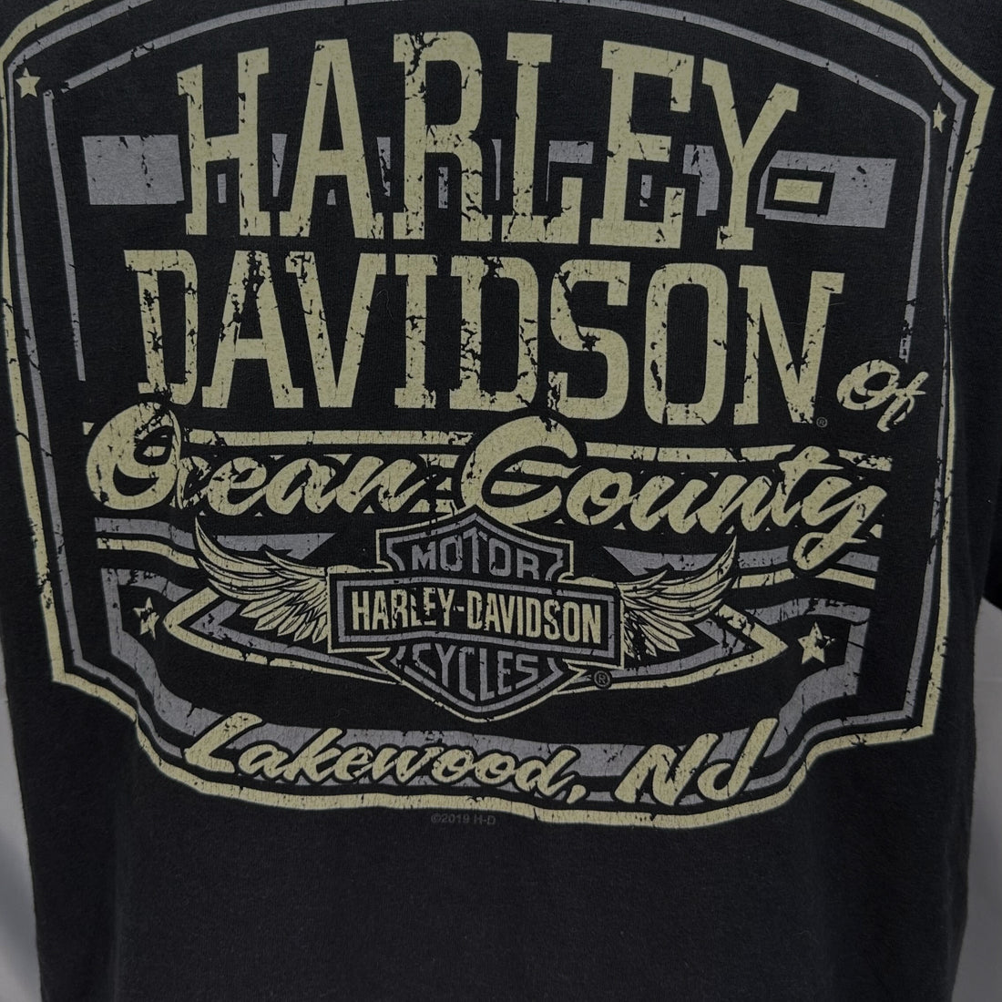 2019 HARLEY-DAVIDSON OF OCEAN COUNTY LAKEWOOD NJ FLAT TRACK L 背面プリント アップ