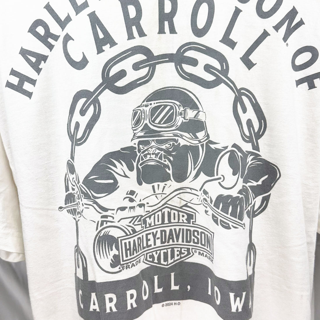 2024 HARLEY-DAVIDSON OF CARROLL IOWA POCKET TEE L 背面プリント アップ