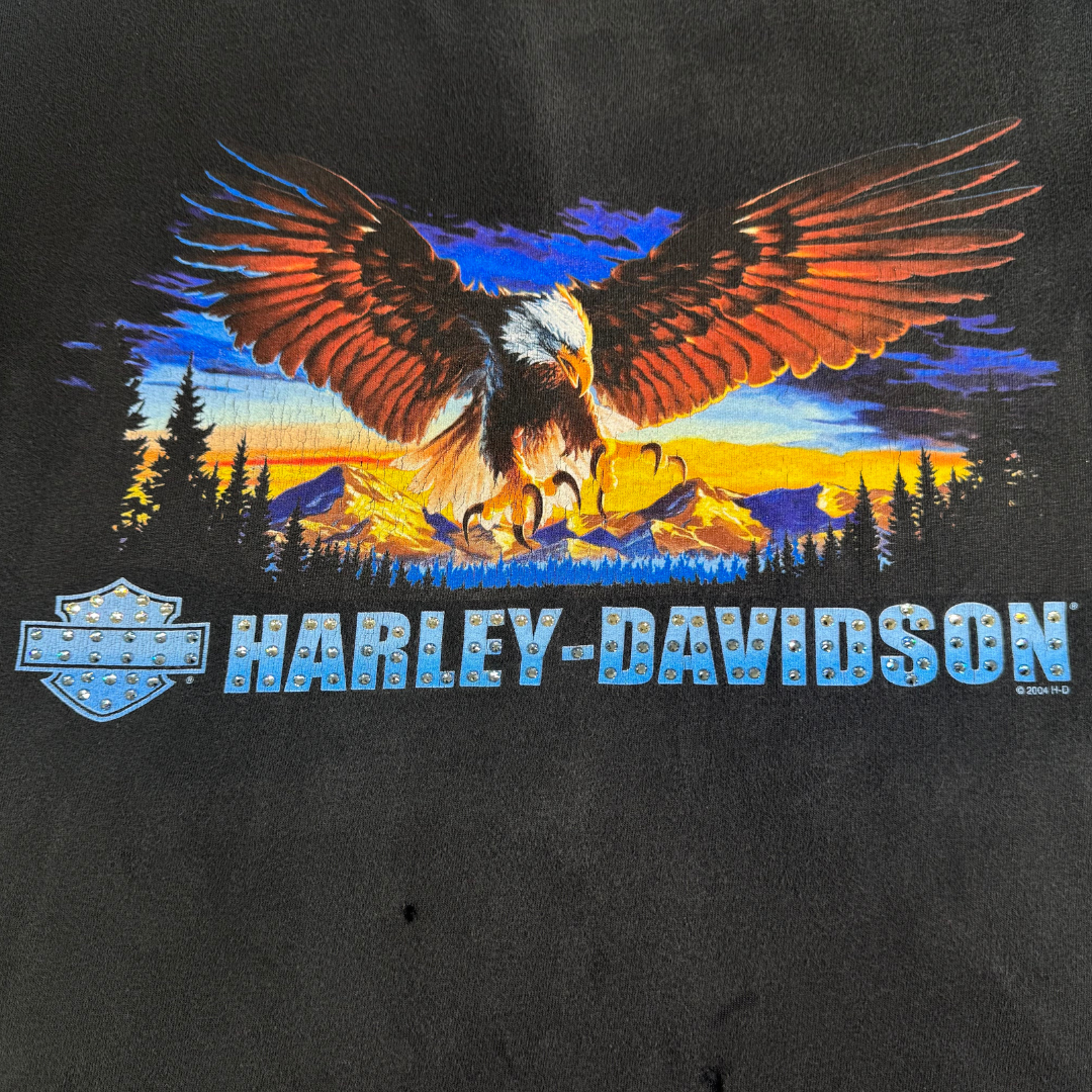 Vintage Harley-Davidson Eagle Sunset Tee