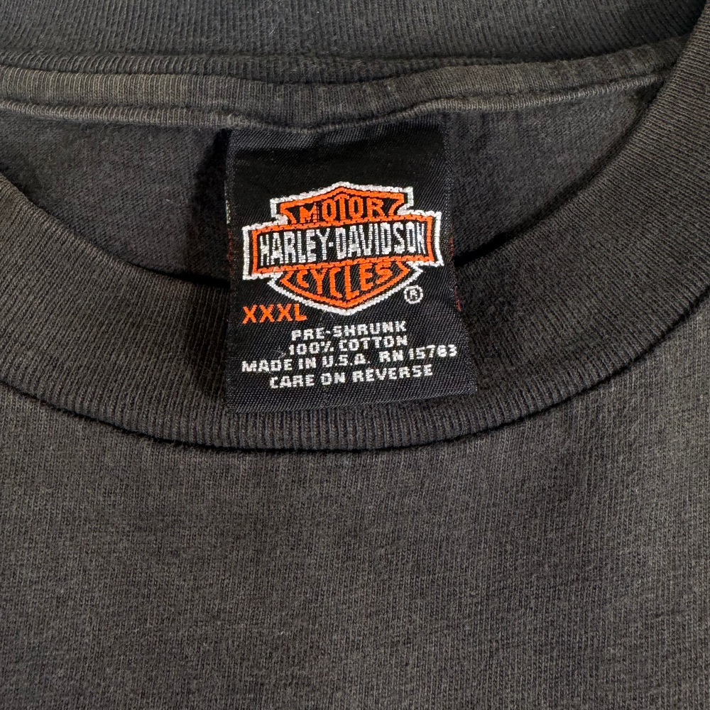Vintage Harley-Davidson “The Strong Survive” Eagle vs. Dragon Tee