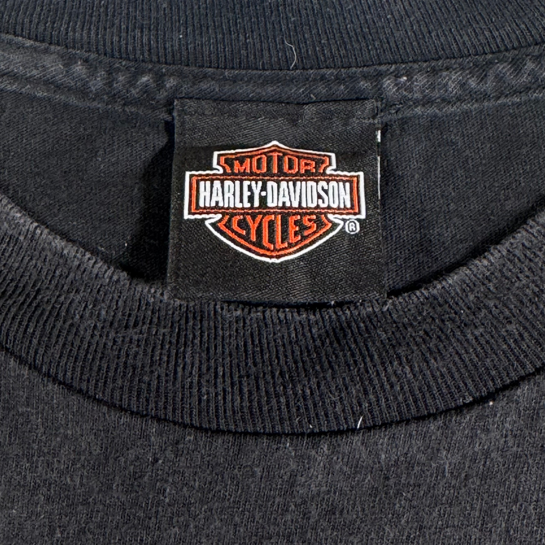 Vintage Harley-Davidson Web Skull Tee