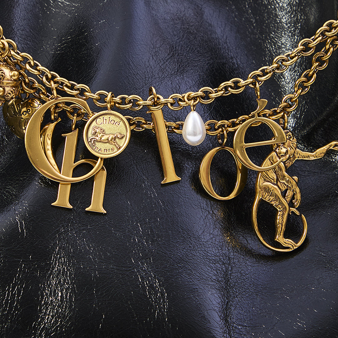 Bag with Charms