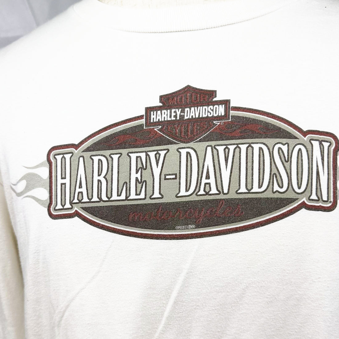 BLOCKER HARLEY-DAVIDSON PARRYVILLE PA EAGLE LS L 正面ロゴ アップ