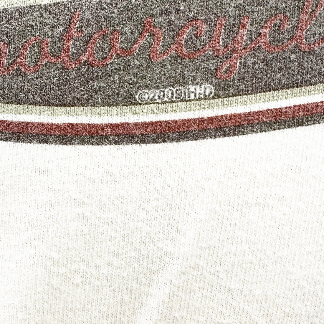 BLOCKER HARLEY-DAVIDSON PARRYVILLE PA EAGLE LS L ロゴ ディテール