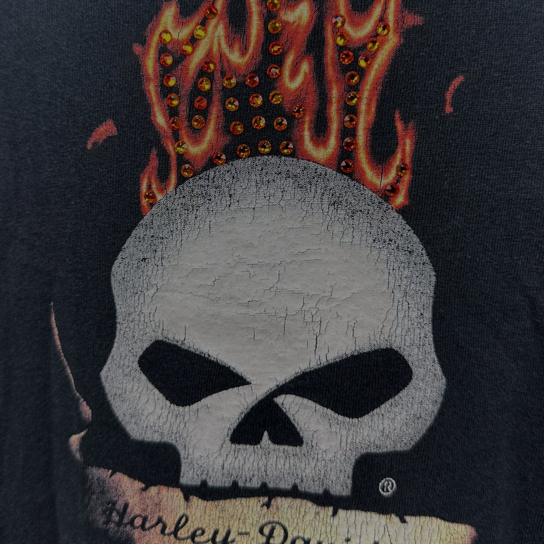 CANCUN MEXICO HARLEY-DAVIDSON FLAME SKULL XL 正面プリント アップ