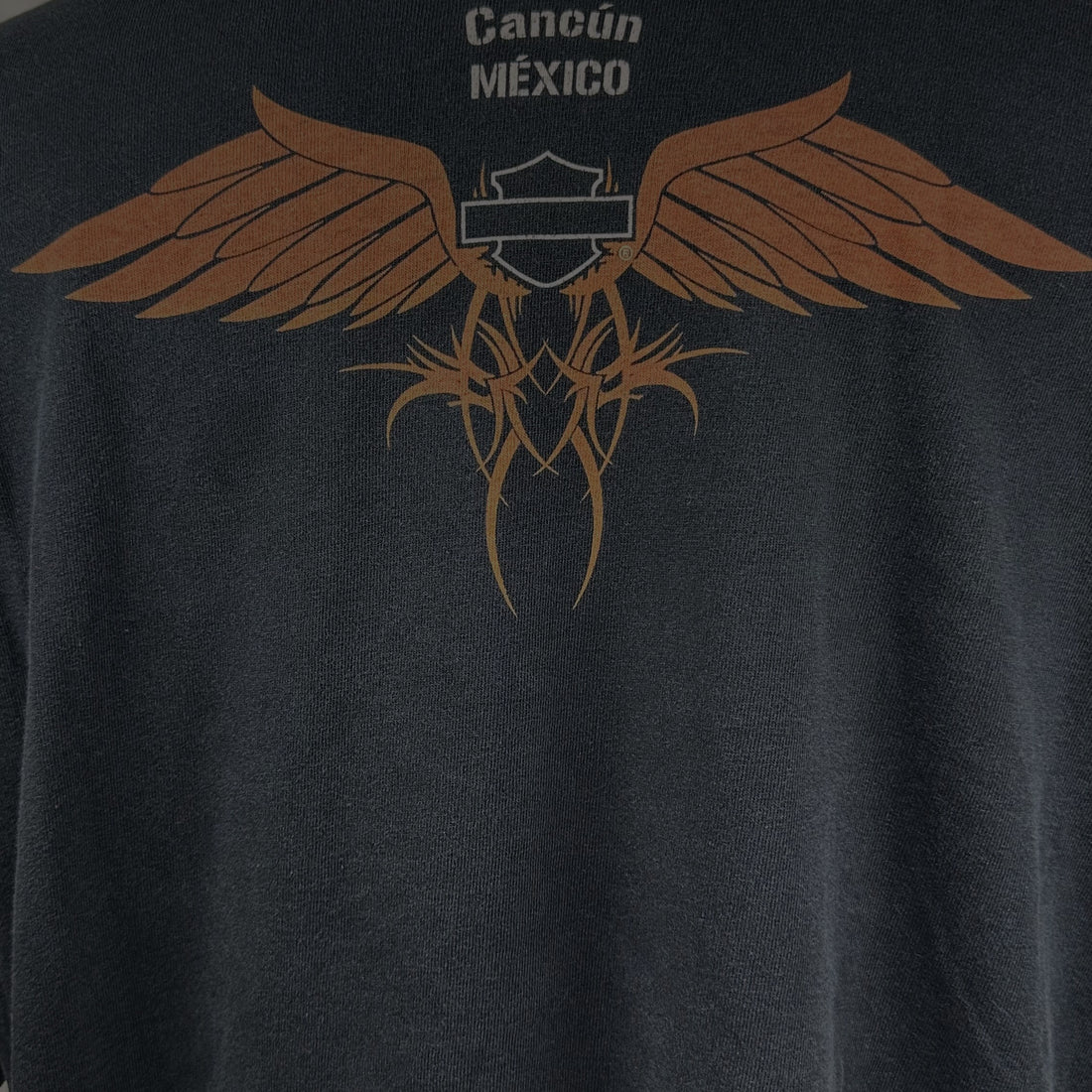 CANCUN MEXICO HARLEY-DAVIDSON FLAME SKULL XL 背面プリント アップ