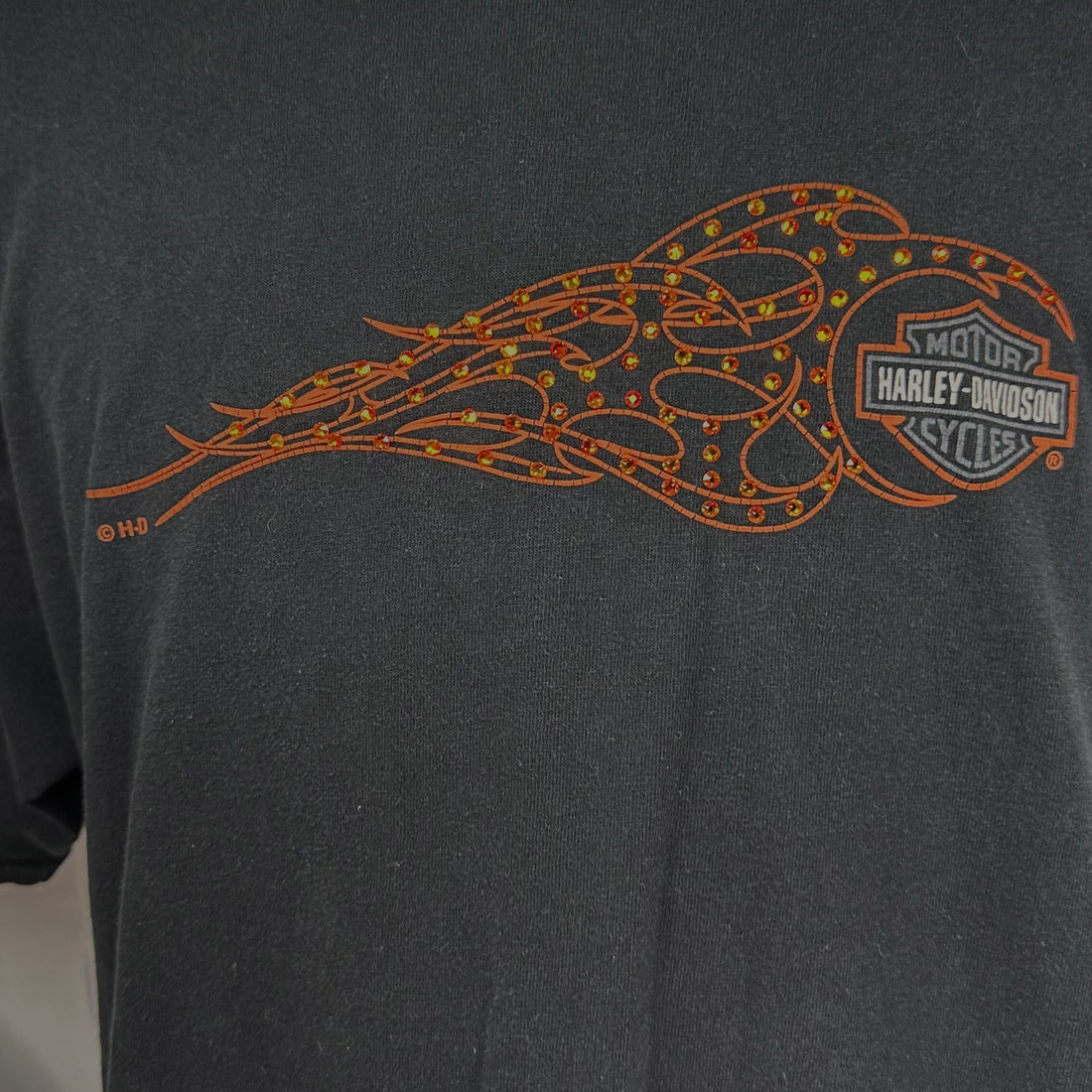 CANCUN MEXICO HARLEY-DAVIDSON RHINESTONE FLAME XL 正面プリント アップ
