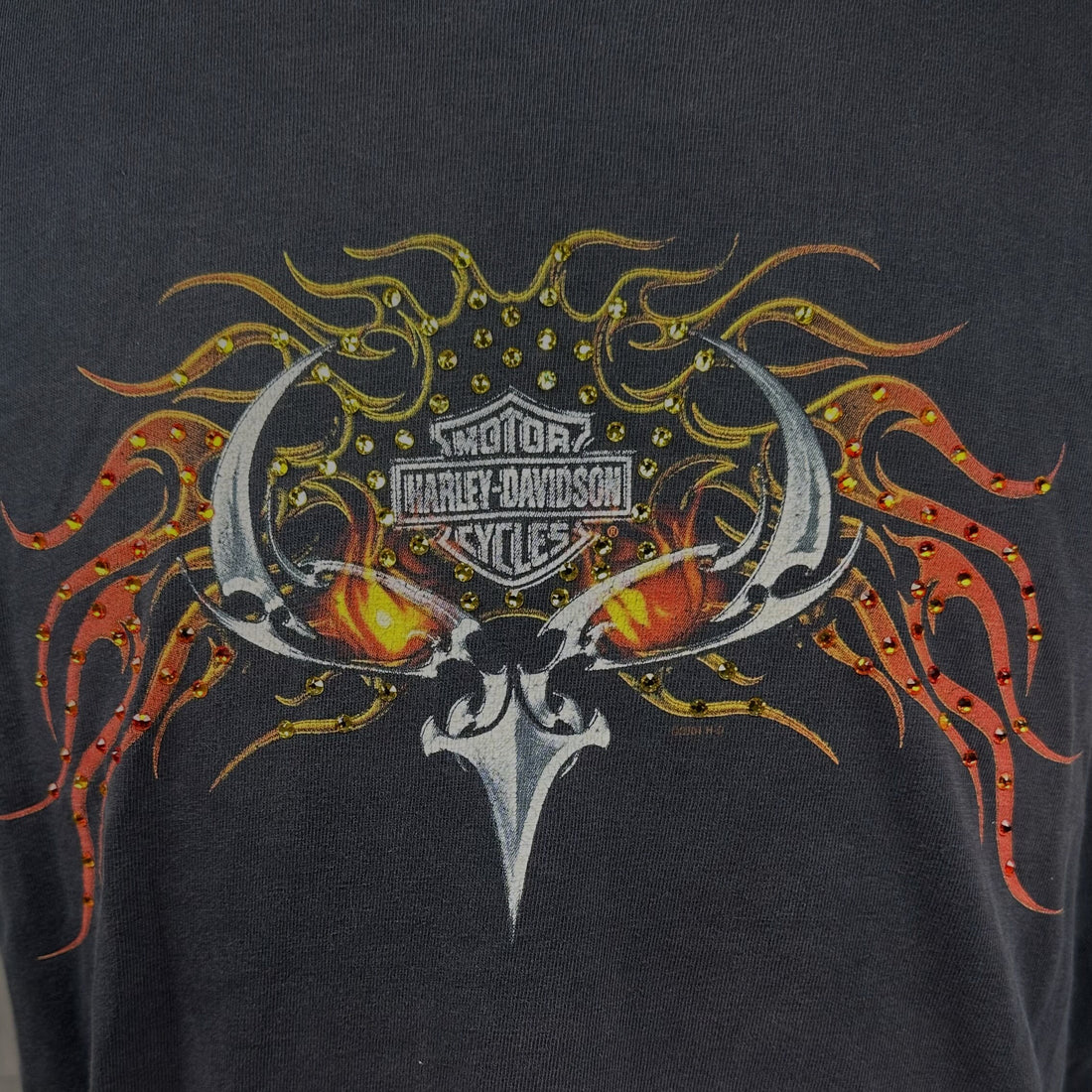 CHATTAHOOCHEE HARLEY-DAVIDSON COLUMBUS GA FLAME EYES XL 正面プリント アップ