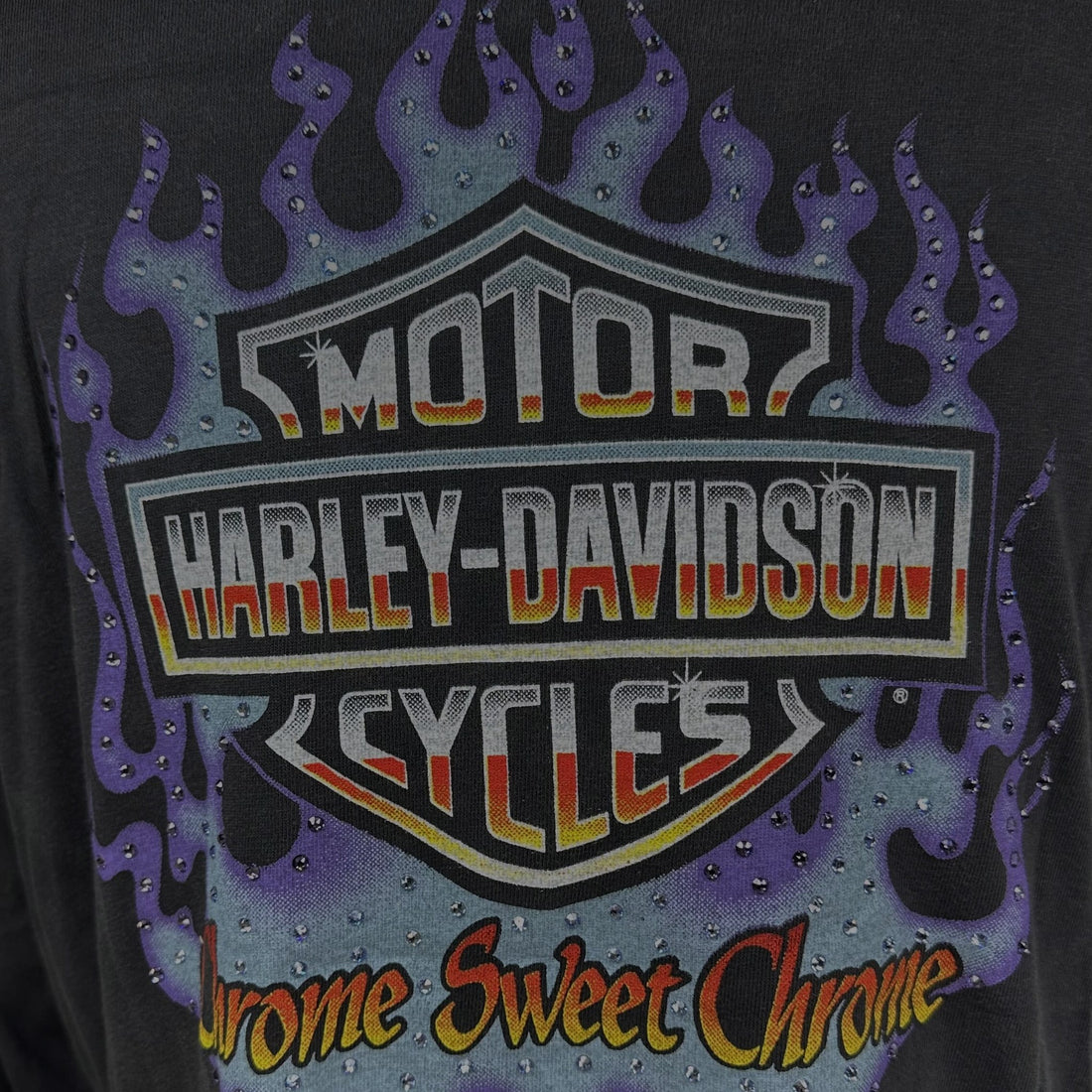 DAYTONA HARLEY-DAVIDSON FLAME LS XL 胸元プリント アップ