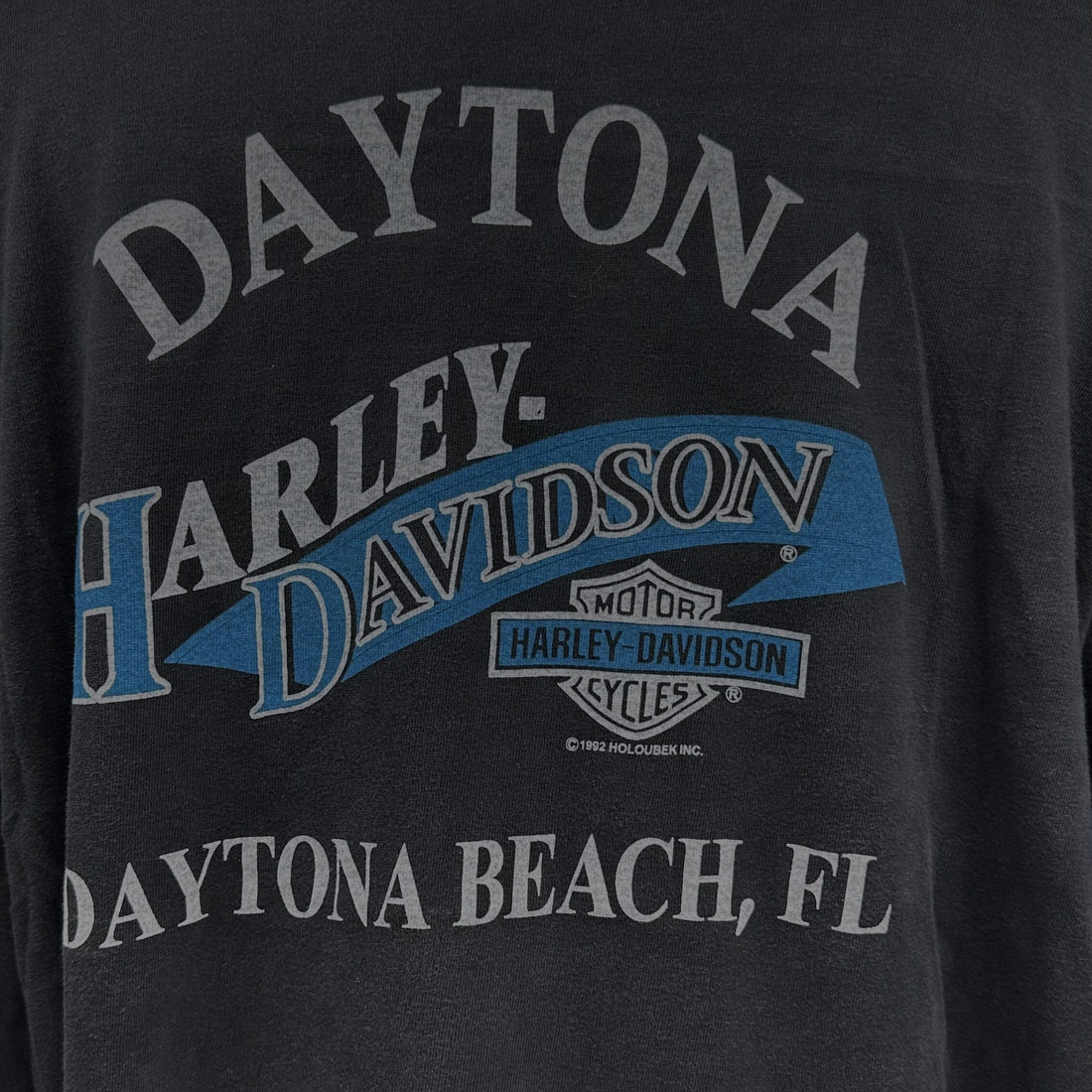 DAYTONA HARLEY-DAVIDSON FLAME LS XL 背面プリント アップ