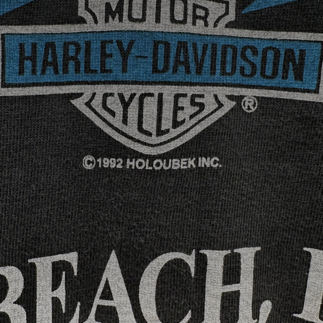 DAYTONA HARLEY-DAVIDSON FLAME LS XL プリント ディテール
