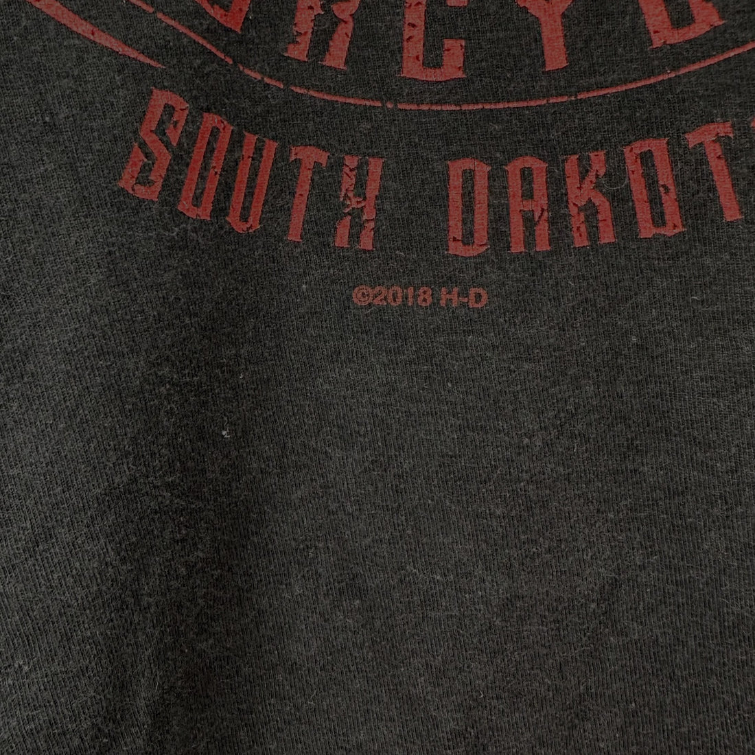 DEADWOOD HARLEY-DAVIDSON SOUTH DAKOTA 3XL 背面プリント ディテール