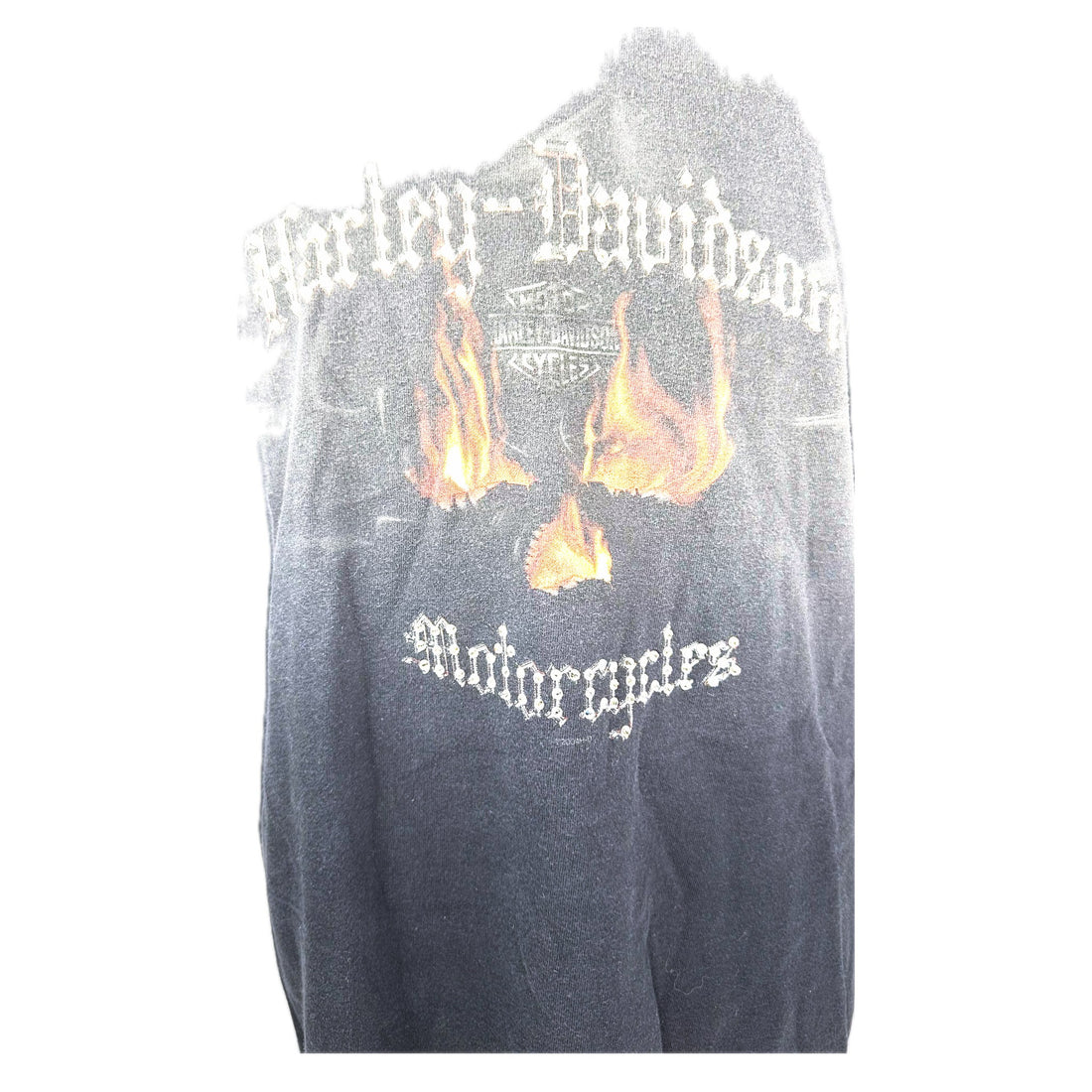 GAINESVILLE HARLEY-DAVIDSON FLORIDA FLAME XL 胸元プリント アップ
